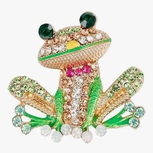 Colorful Frog Brooch